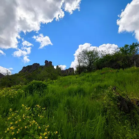 Skalolazka *